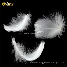 superior quality duck down feather and goose feather